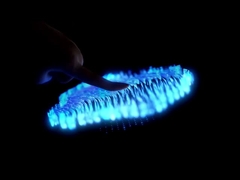 Heng Cheng Electronics Technology (HK) Co.,Ltd